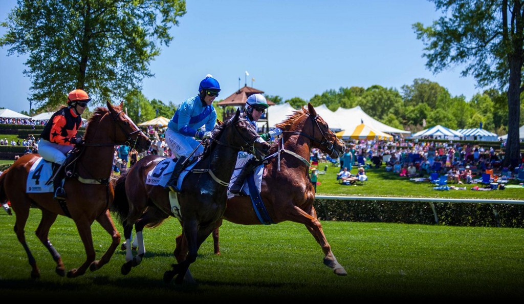 Queen's Cup Steeplechase Transportation Charlotte Limo Service